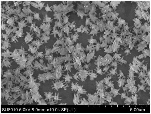 Method for preparing zeolitic imidazolate framework material (ZIF-8) nano-octa-tripod by using seed growth synthesis