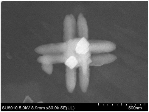 Method for preparing zeolitic imidazolate framework material (ZIF-8) nano-octa-tripod by using seed growth synthesis