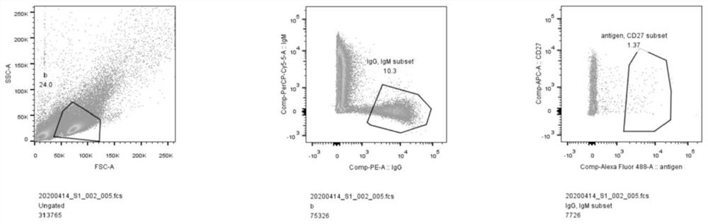 Neutralization activity monoclonal antibody of humanized anti-novel coronavirus (SARS-CoV-2)