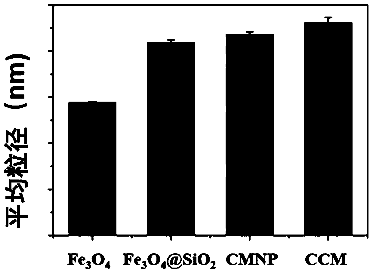 Preparation method and application of magnetic nano microcarrier for wrapping tumor cell membrane