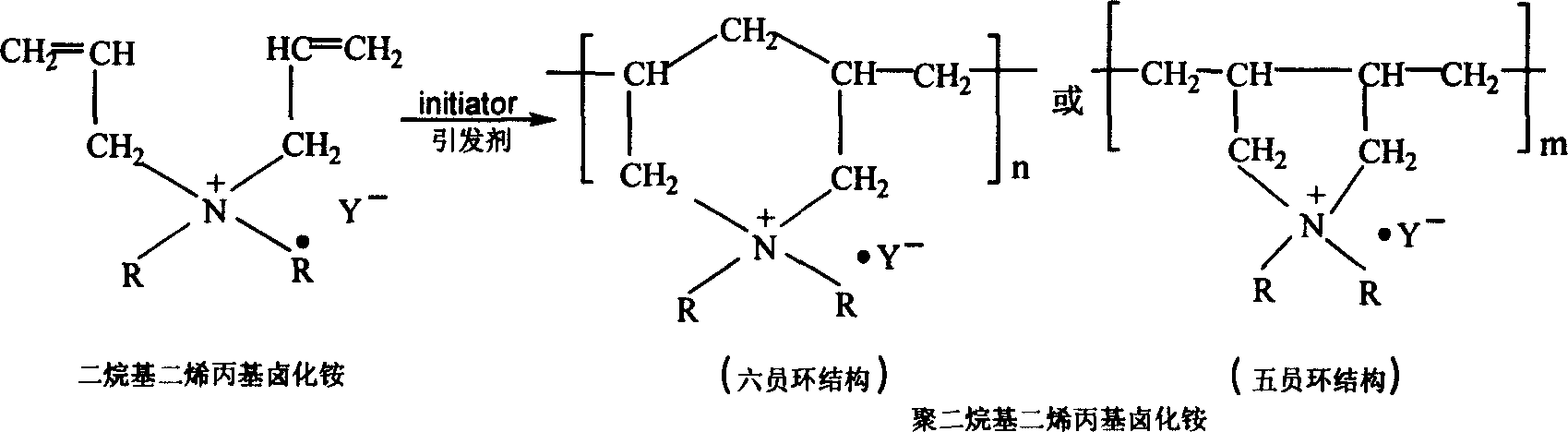 Preparation method of poly dialkyl diallyl ammonium halide