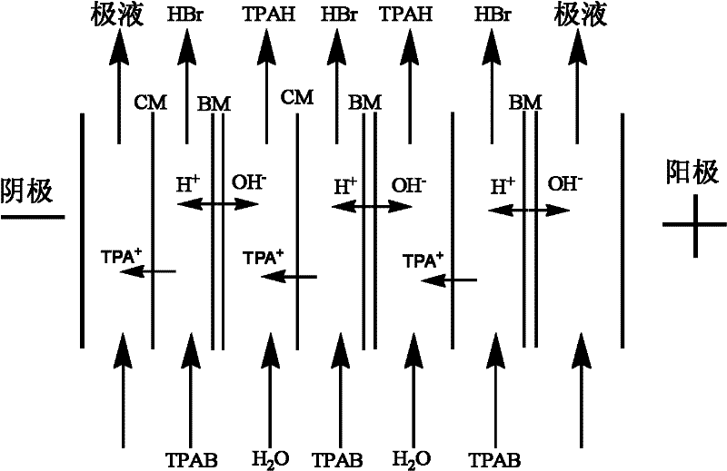 Method for preparing tetrapropyl ammonium hydroxide by utilizing bipolar membrane electrodialysis