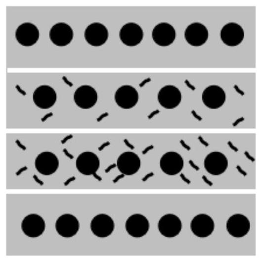 Functional gradient foamed aluminum and preparation method thereof