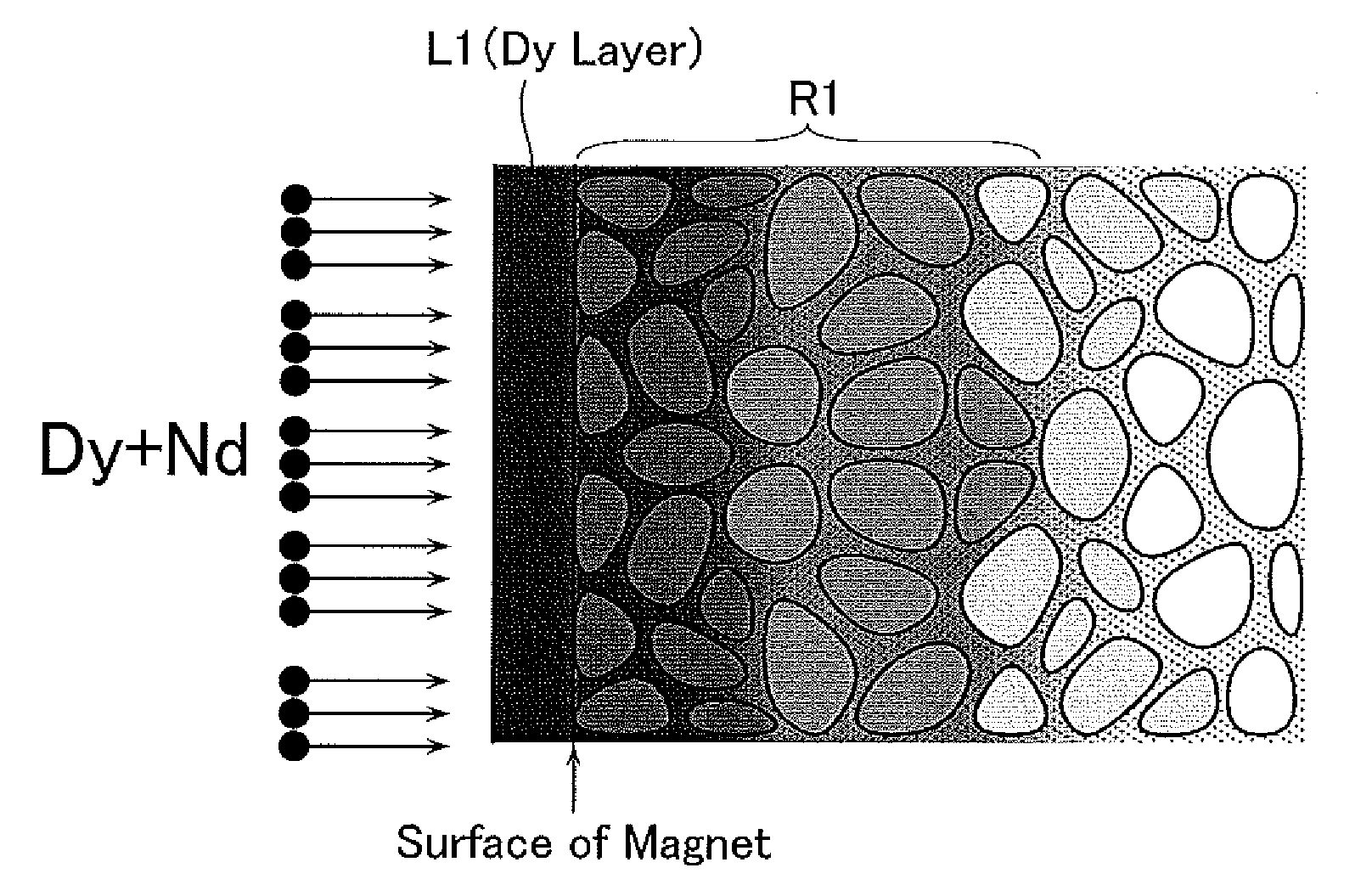 Permanent magnet and method of manufacturing same