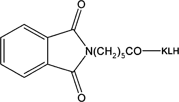 Specific antibody against pesticide phosmet