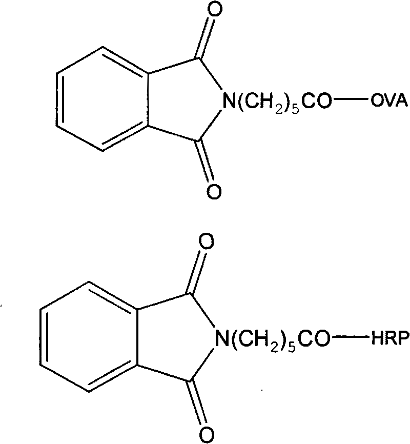 Specific antibody against pesticide phosmet