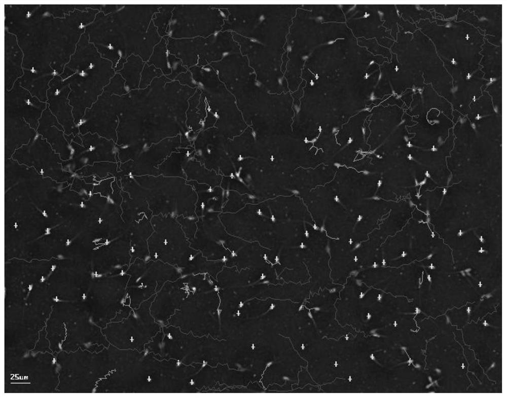 Preparation method of agonist for improving fish sperm motility