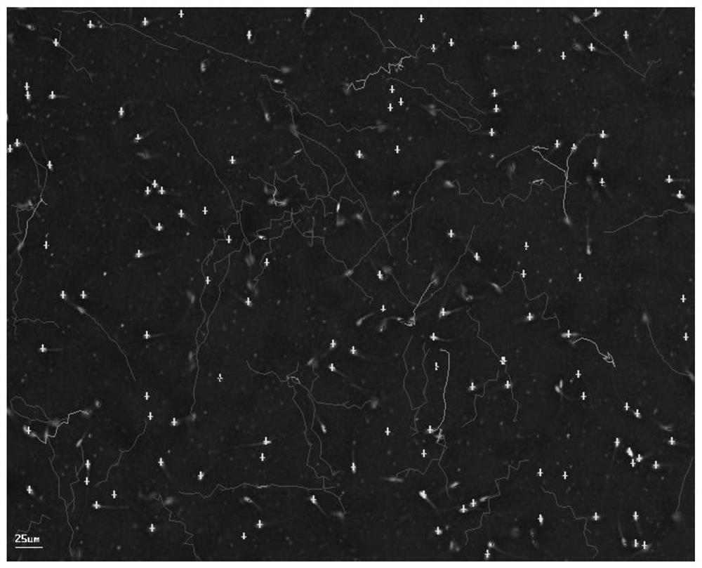 Preparation method of agonist for improving fish sperm motility