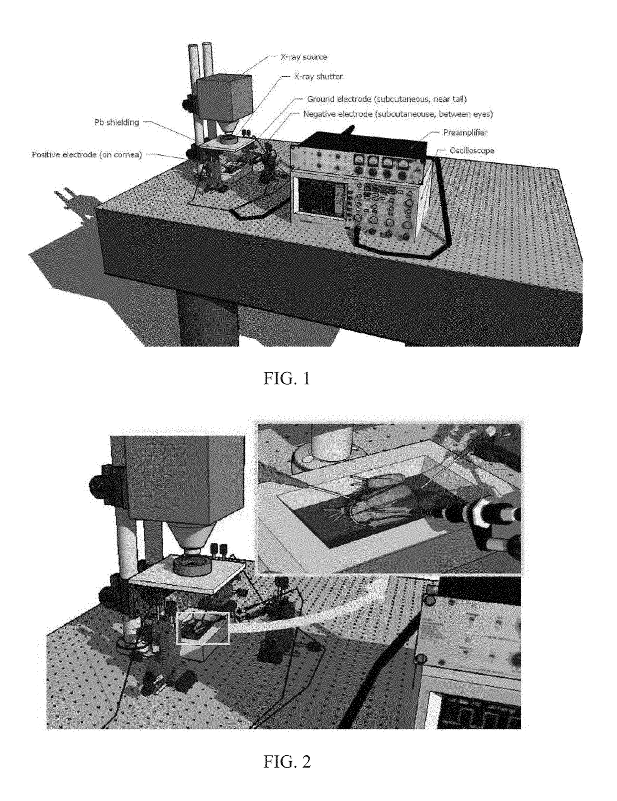 Methods and apparatus for x-genetics