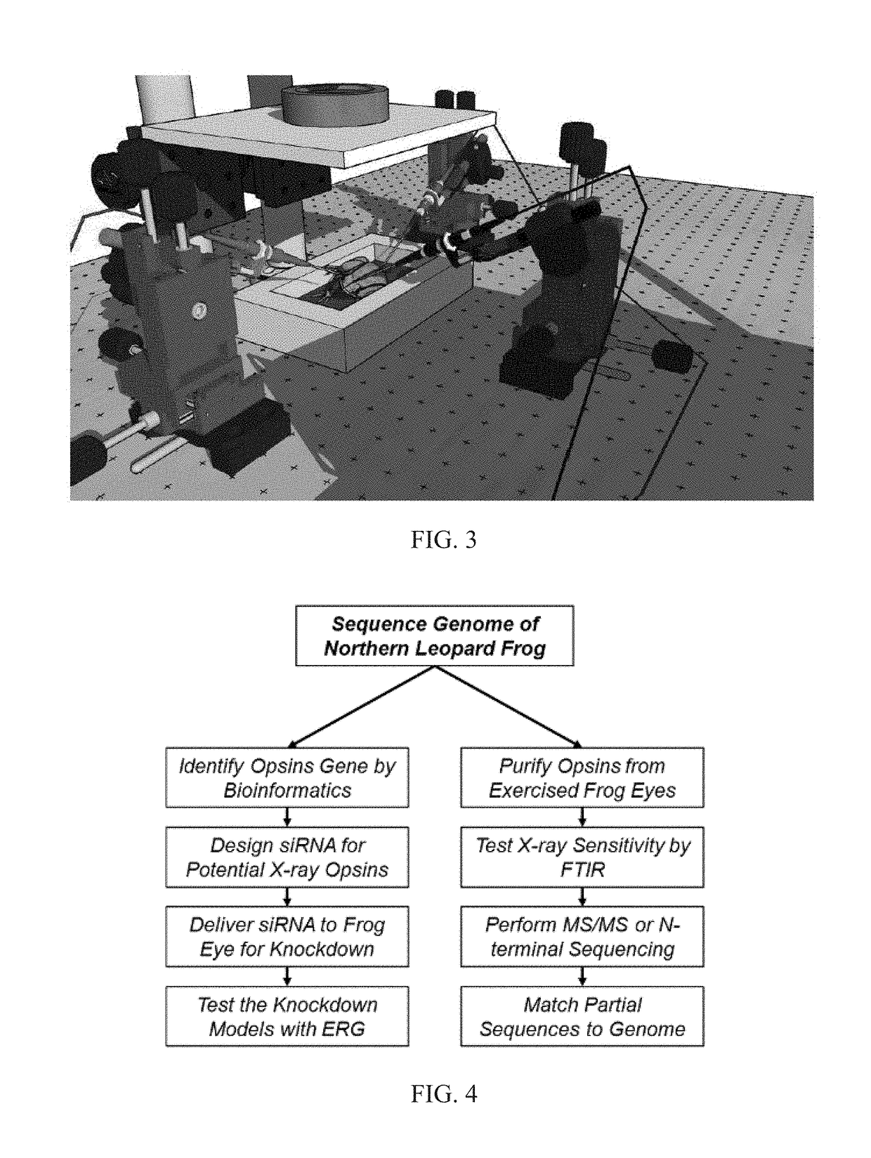 Methods and apparatus for x-genetics