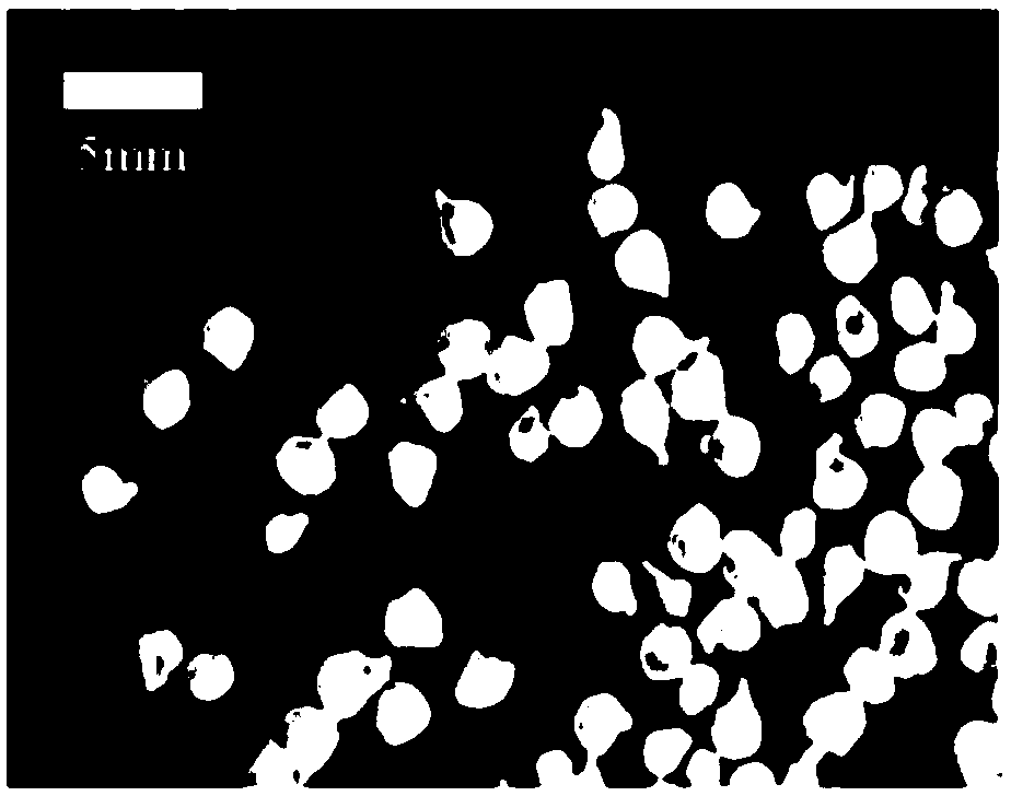 Regenerated cellulose microsphere containing flower-like nanometer ZnO and preparation method thereof