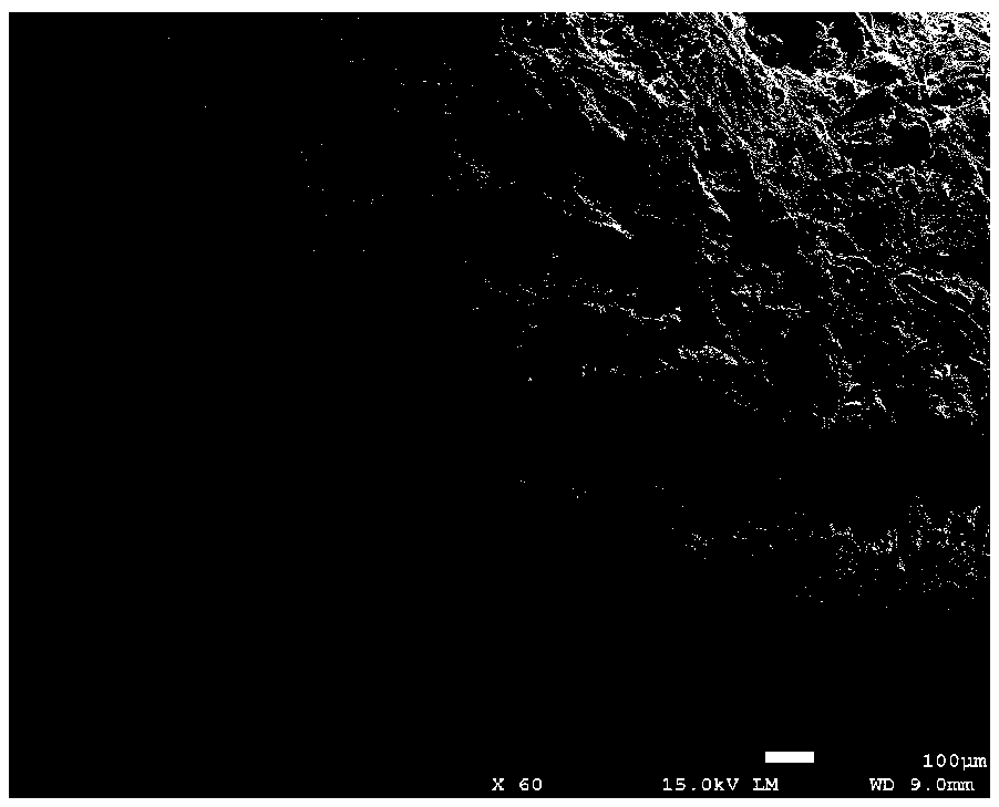 Regenerated cellulose microsphere containing flower-like nanometer ZnO and preparation method thereof