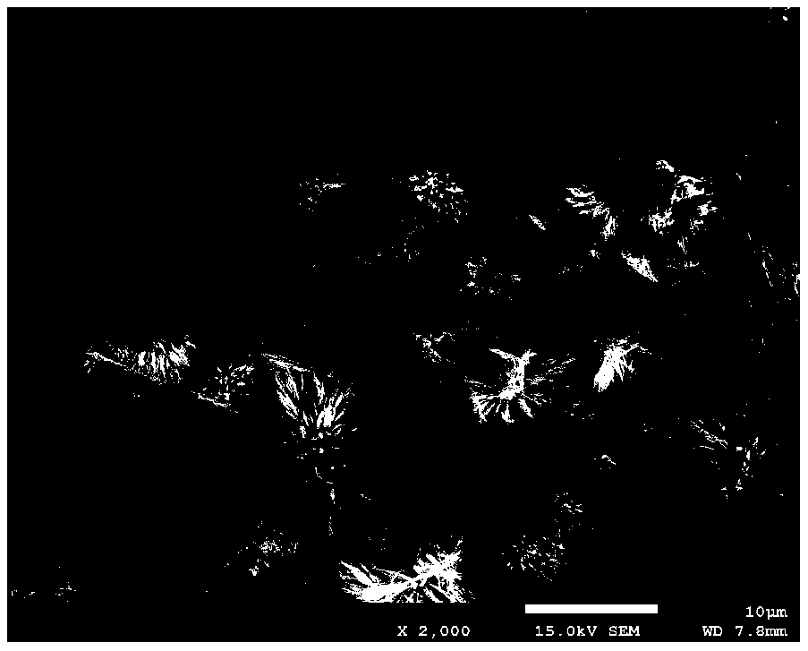 Regenerated cellulose microsphere containing flower-like nanometer ZnO and preparation method thereof