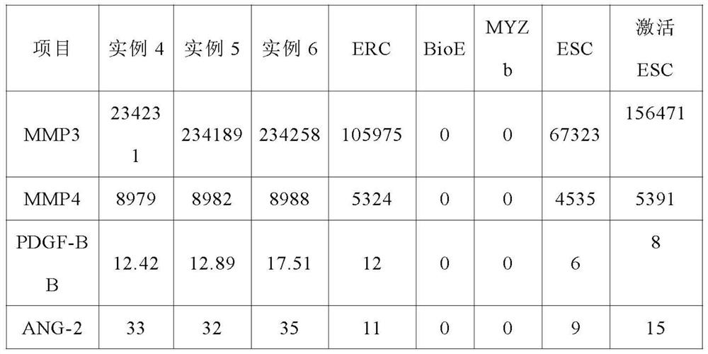 Endometrial stem cell preparation and preparation method for treating erectile dysfunction