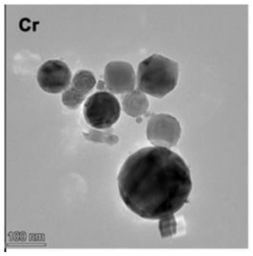 Photosensitive material, preparation method and application of photosensitive material in tumor photothermal combined immunotherapy