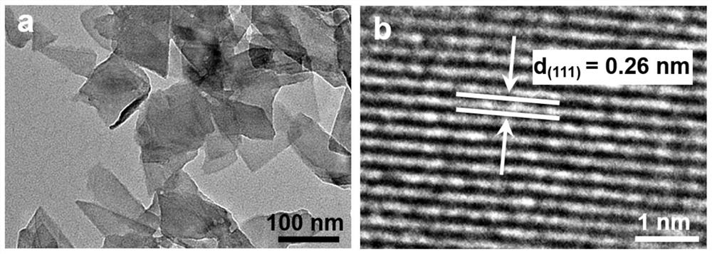 Application of a kind of nano black phosphorene in negative electrode material of magnesium ion battery