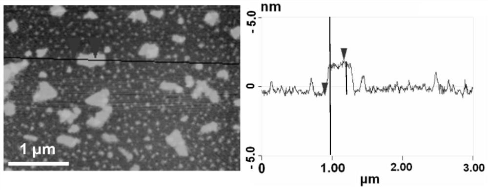 Application of a kind of nano black phosphorene in negative electrode material of magnesium ion battery