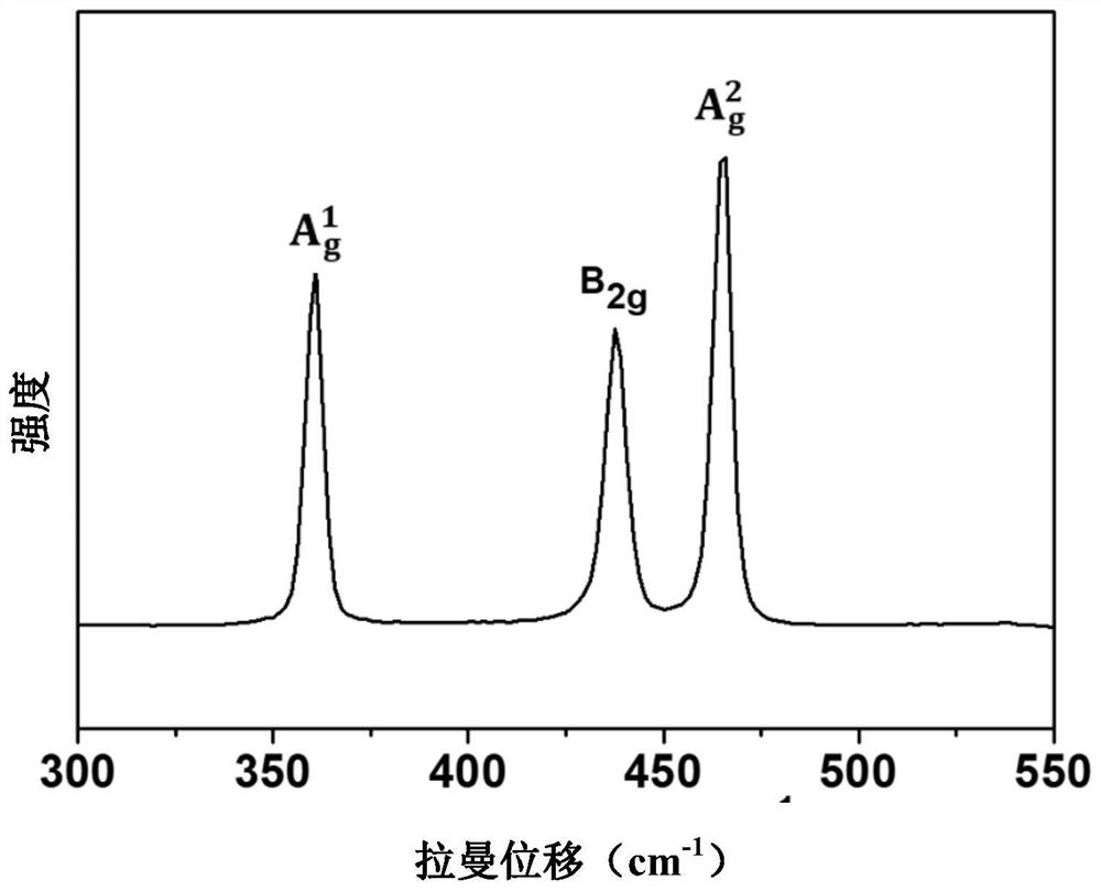 Application of a kind of nano black phosphorene in negative electrode material of magnesium ion battery