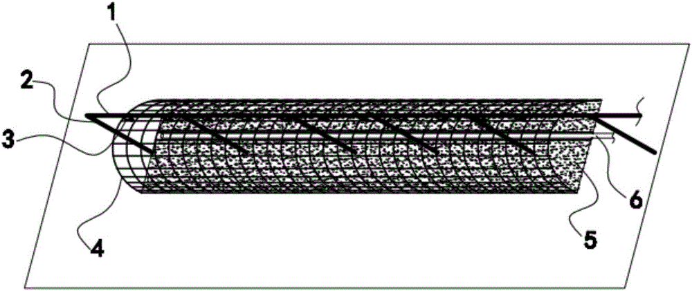 Ecological circulating system for poultry breeding