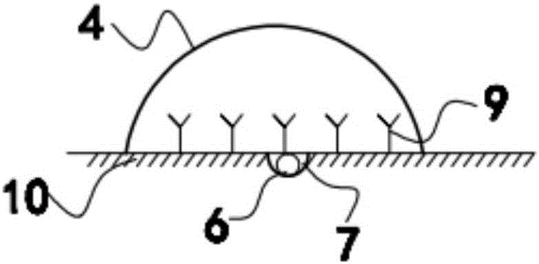 Ecological circulating system for poultry breeding