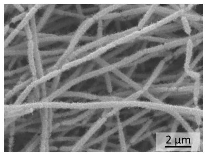 Preparation method and application of a carbon-based metal-organic framework MOF compound derivative material