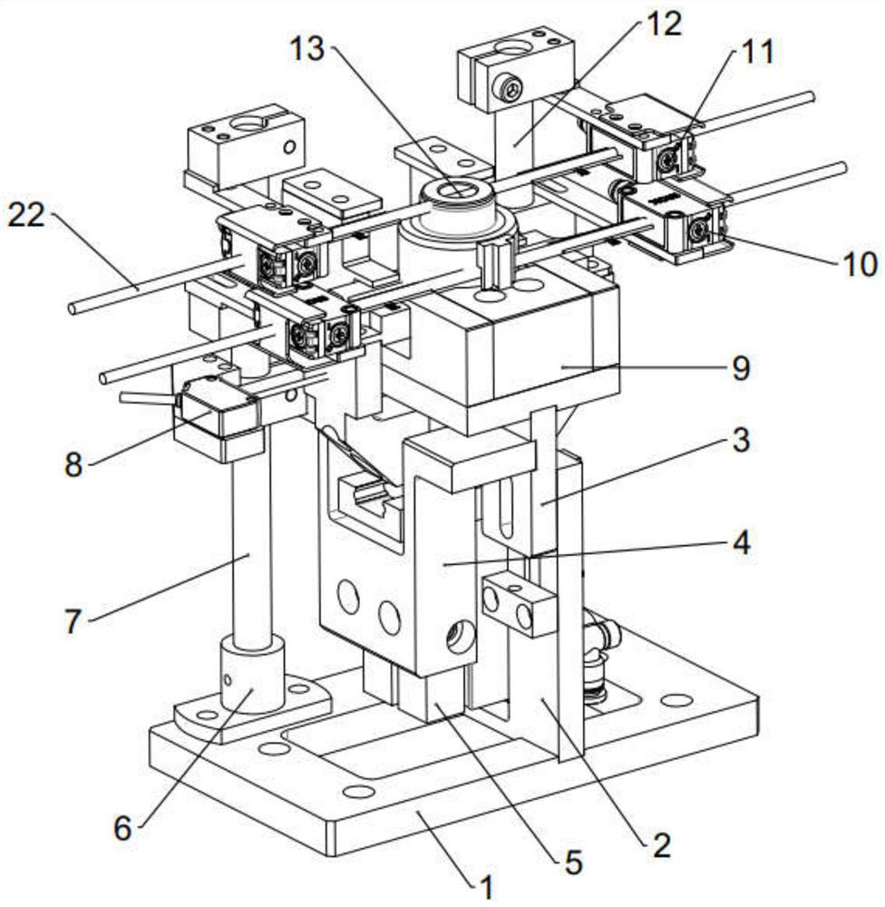 Bush identification device and identification method