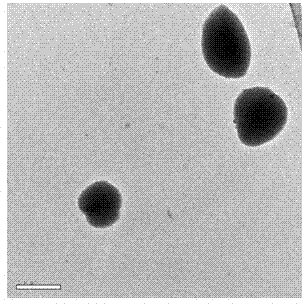 Production method of insulin oral sustained-release preparation