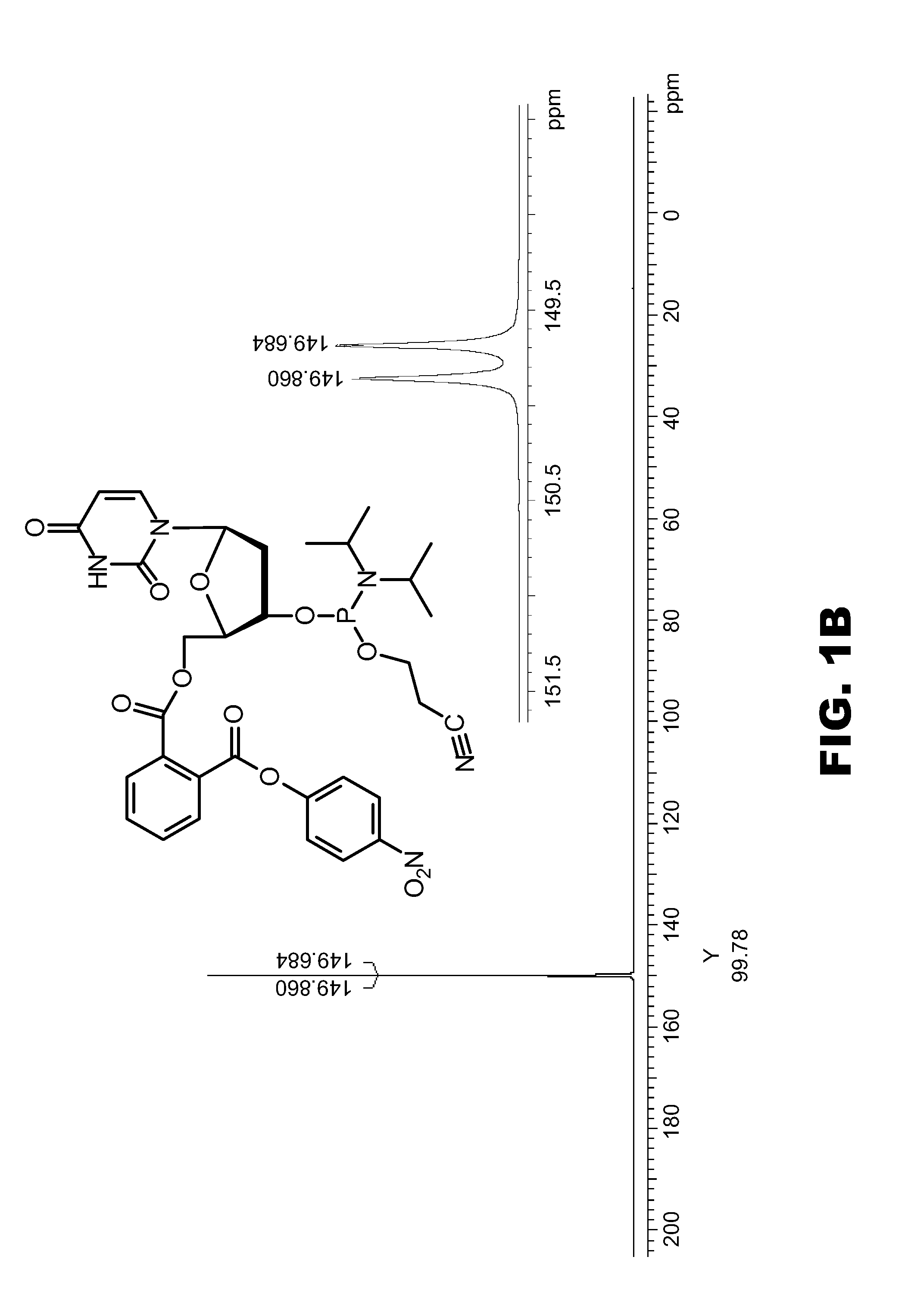 Process for the synthesis of oligonucleotides