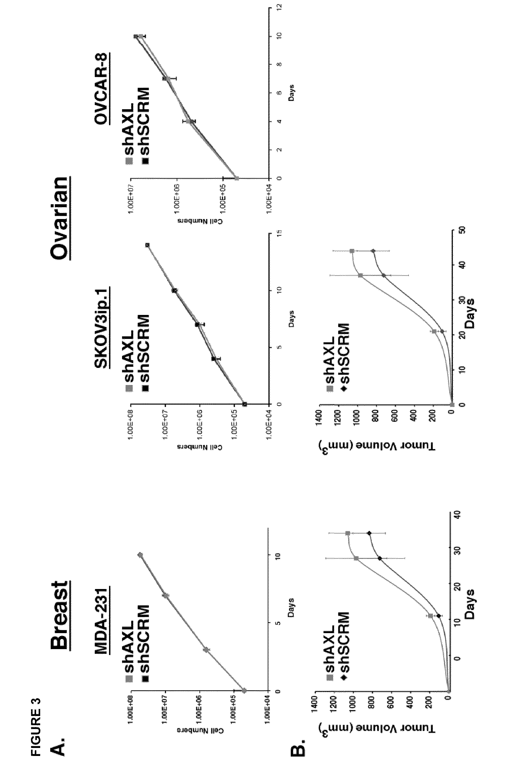 Inhibition of AXL Signaling in Anti-Metastatic Therapy