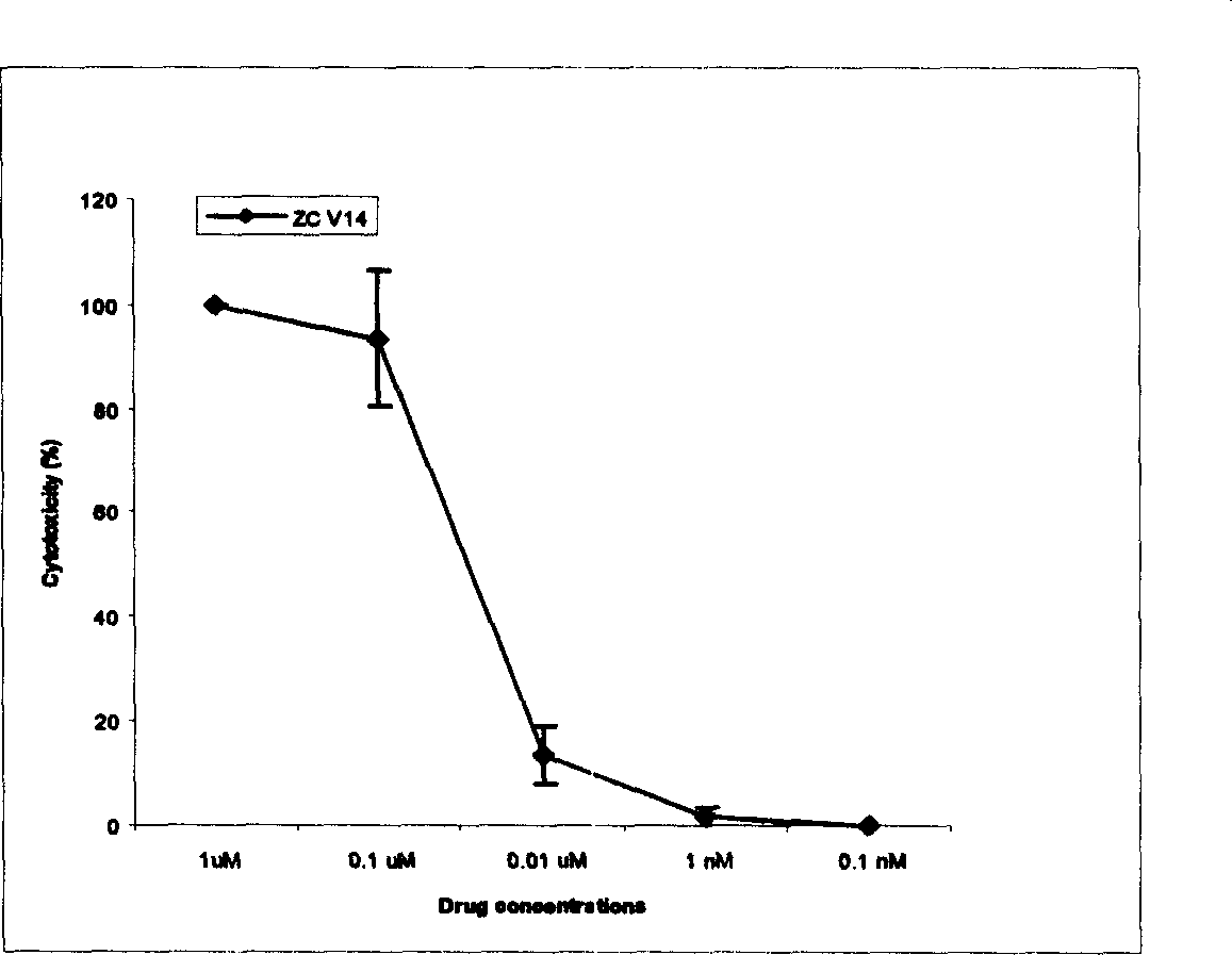 Oleanolic acid couple derivatives and their pharmaceutical use