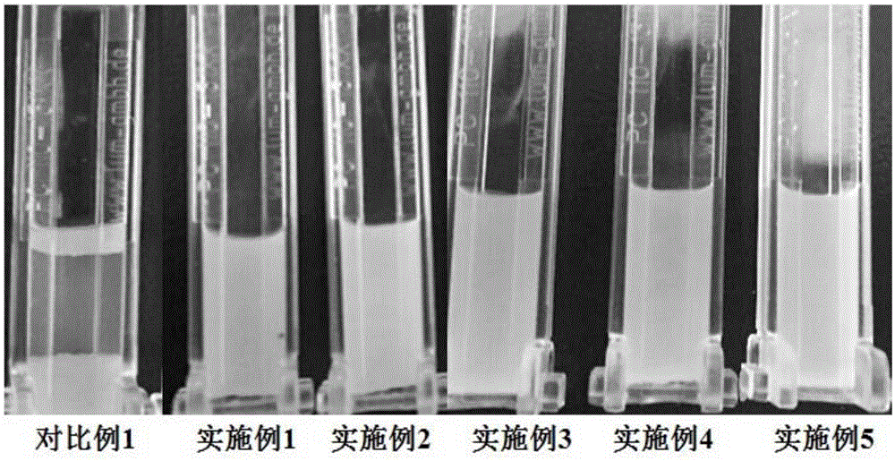 High-stability mango and coconut milk beverage containing fruit granules and preparation method thereof