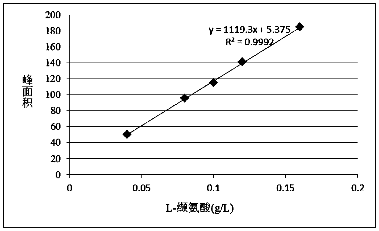 Strain of brevibacterium flavum producing L-valine and application of brevibacterium flavum