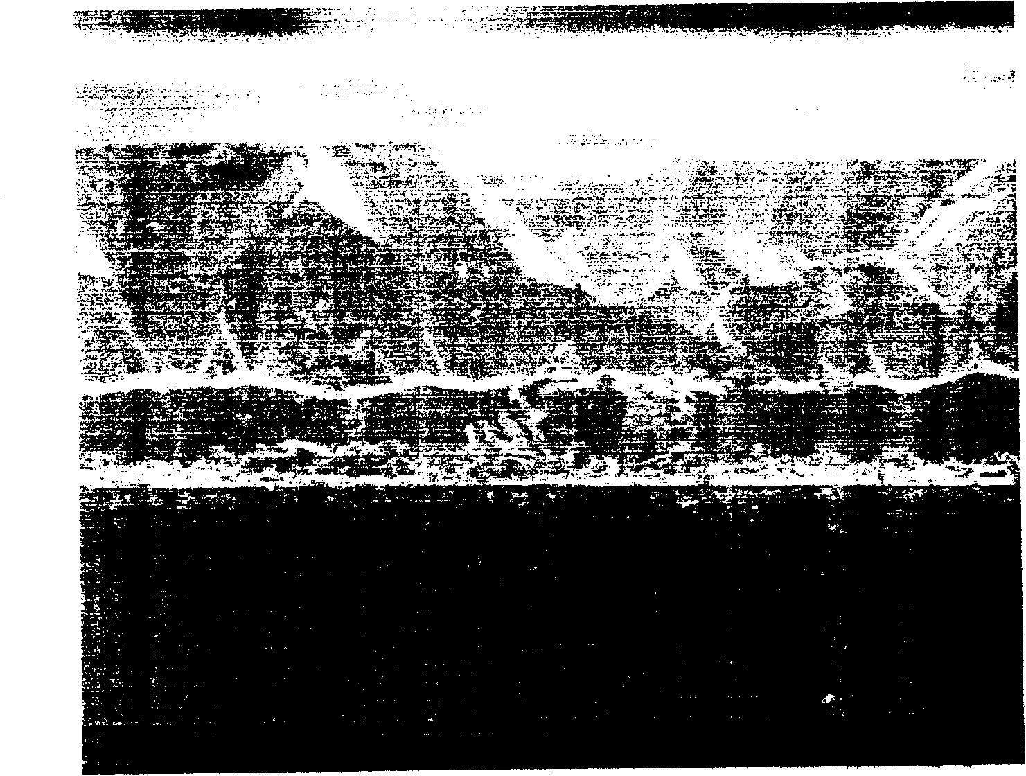 Equipment and process for preparing monocrystalline GaN film material