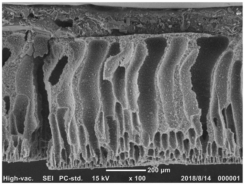 Preparation of a high-load self-supporting thick electrode and its application in sodium-ion batteries