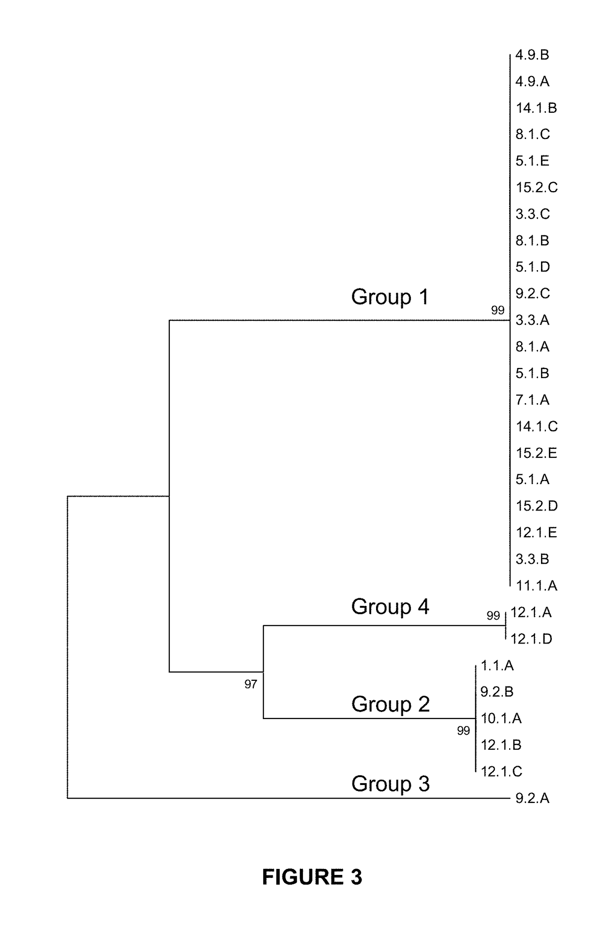 <i>Brachiaria-urochloa </i>endophytes