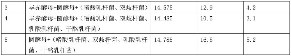 Zymophyte liquid for whole-plant fermentation of hybrid broussonetia papyrifera and preparation method and application of zymophyte liquid