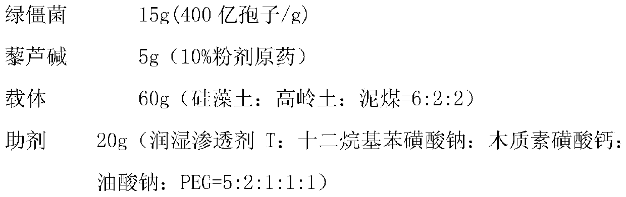 An insecticidal composition containing metarhizium anisopliae and veratrine and its application in preventing and treating rice diseases