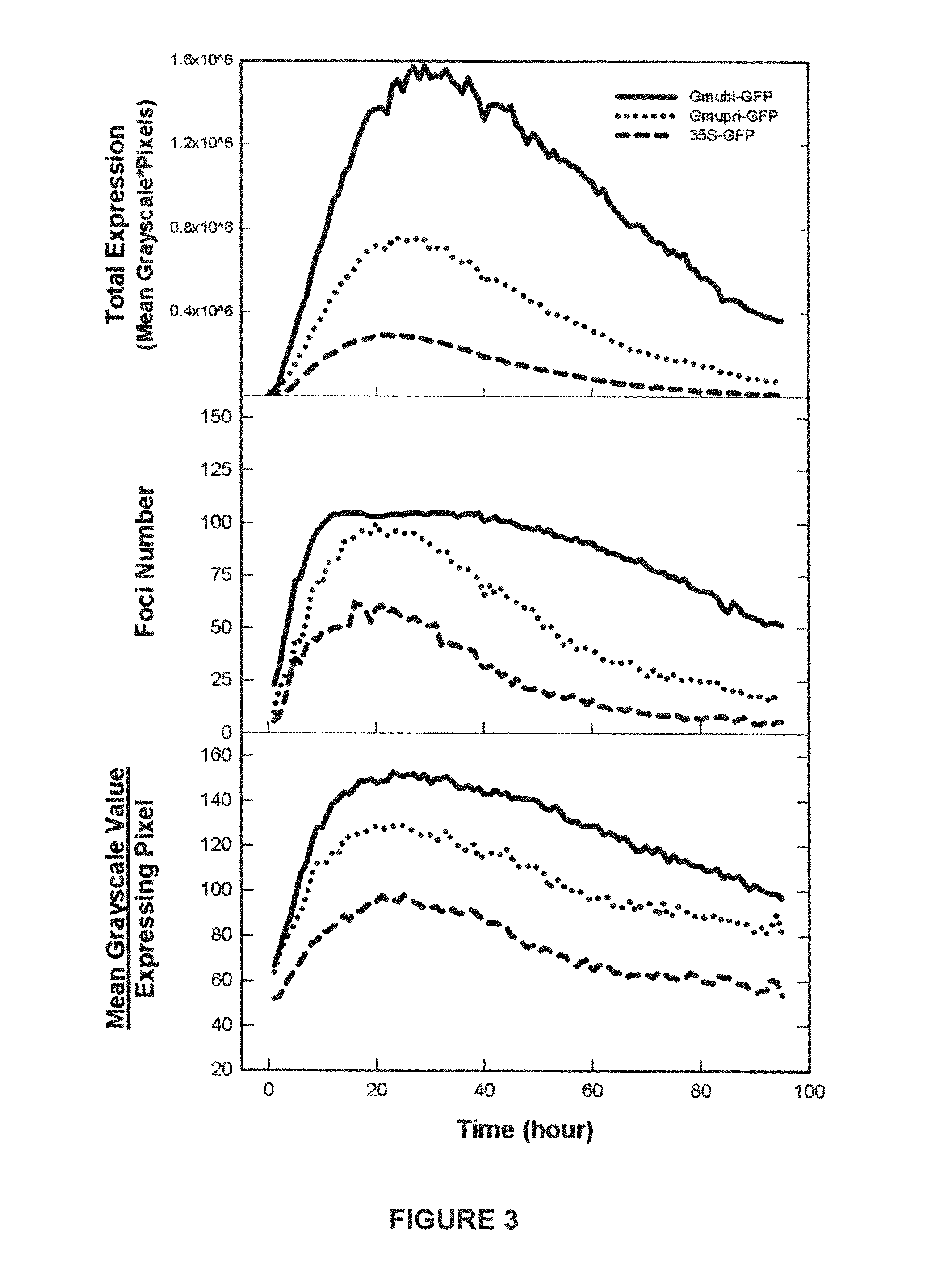 Highly active soybean promoter from the SUBI-3 polyubiquitin gene and uses thereof