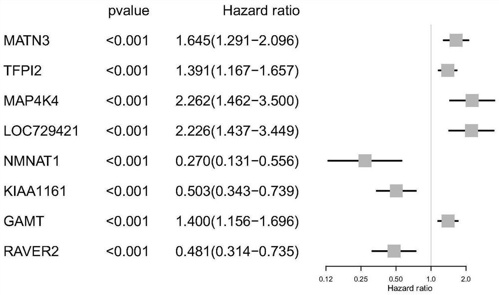 Construction method of prognosis risk prediction model of early gastric cancer patients