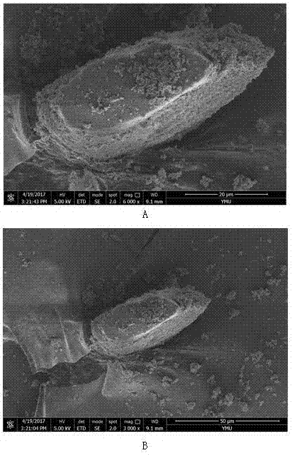 Method for rapidly degrading antibiotics