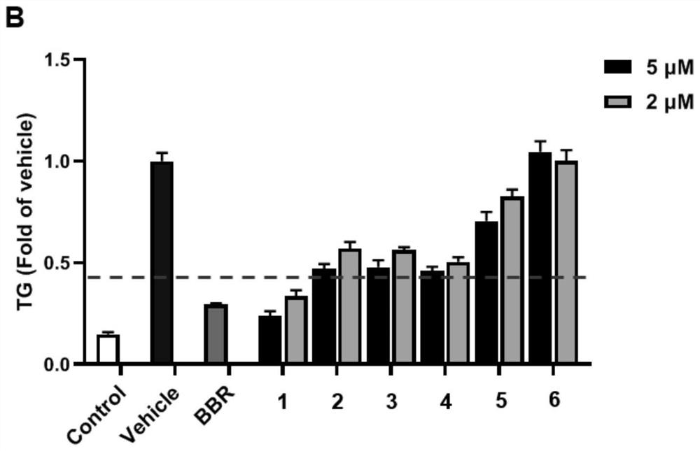 A marine fungus, a novel skeleton heteroterpene derivative prepared therefrom, and its preparation method and application