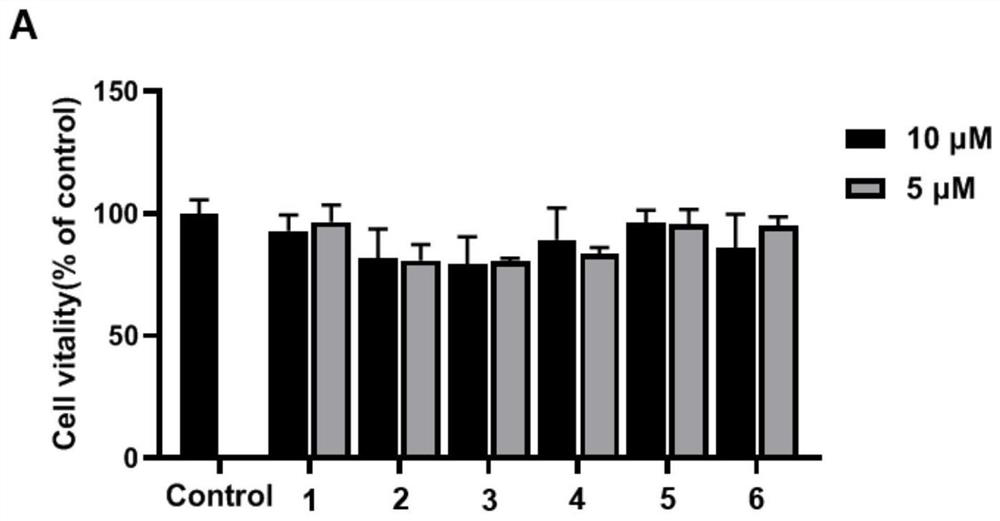 A marine fungus, a novel skeleton heteroterpene derivative prepared therefrom, and its preparation method and application