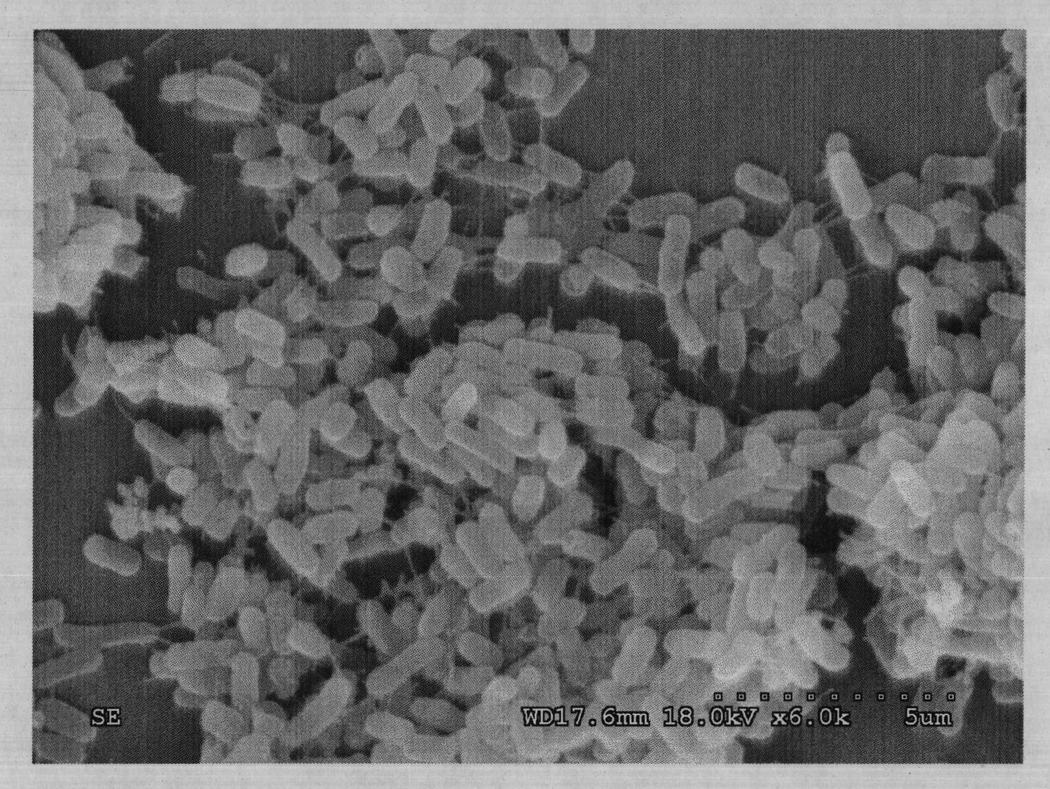 Method for separating microorganisms on surface of tobacco leaf at high temperature by utilizing pure tobacco leaf leach liquor solid plate