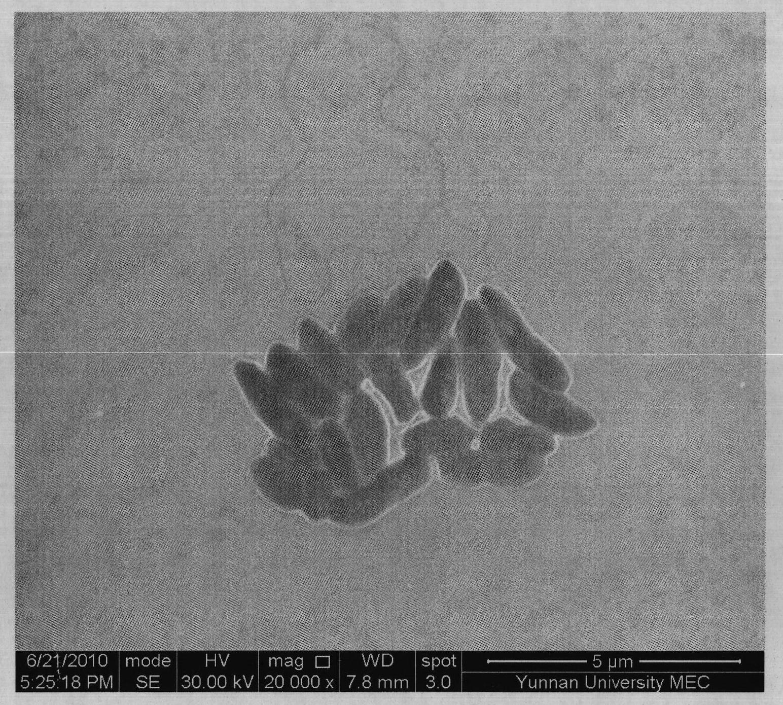 Method for separating microorganisms on surface of tobacco leaf at high temperature by utilizing pure tobacco leaf leach liquor solid plate