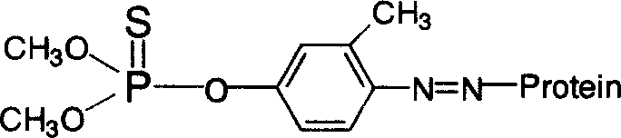 Fenitrothion hapten, artificial antigen, specified antibody and use thereof