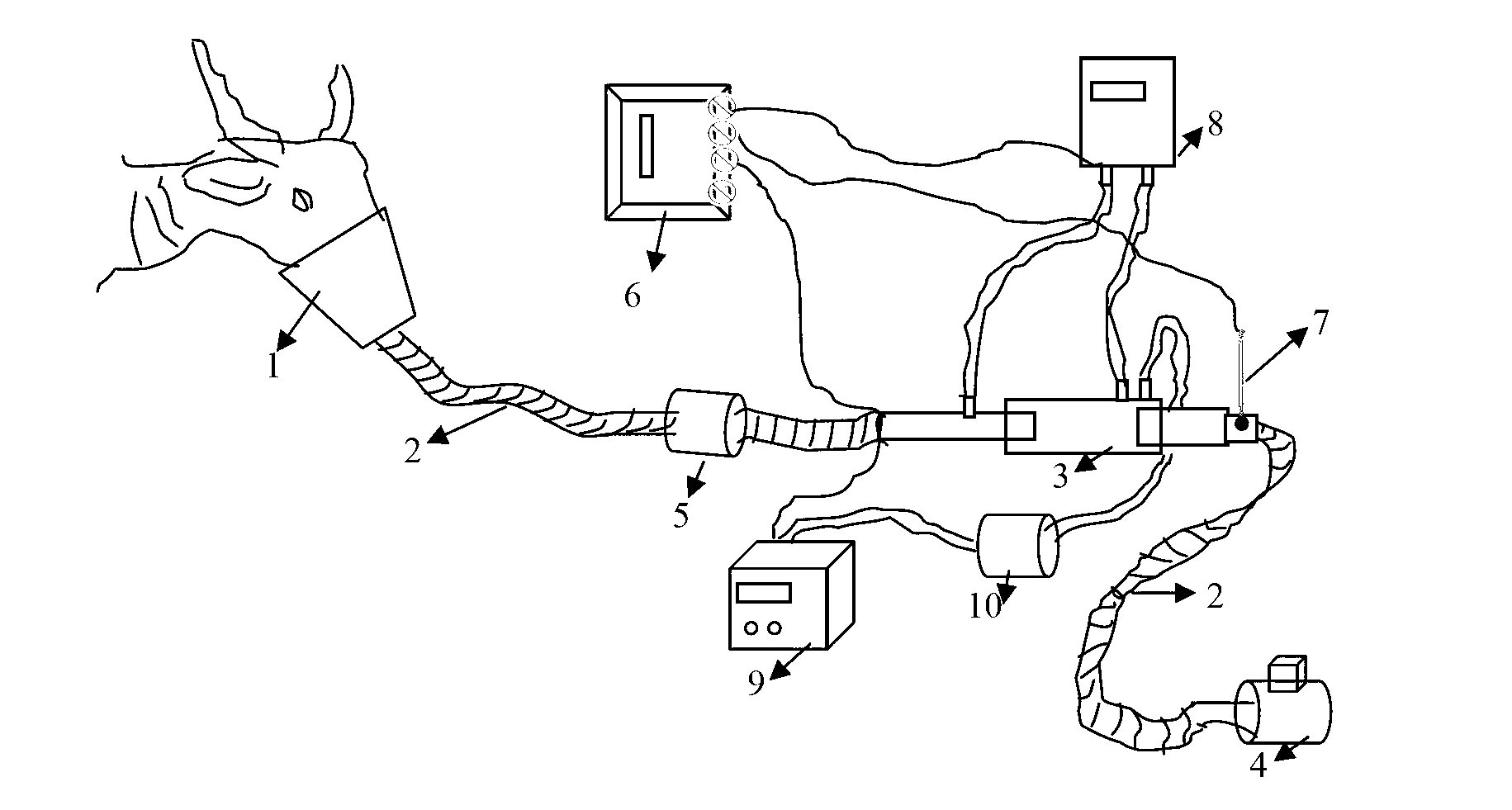 Device and method for determining breathing heat of livestock open type mask