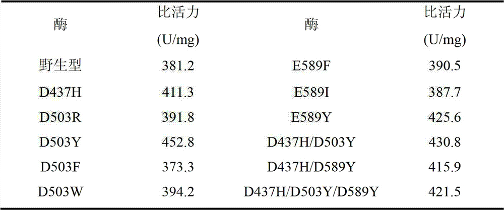 Pullulan enzymatic mutant and preparation method thereof