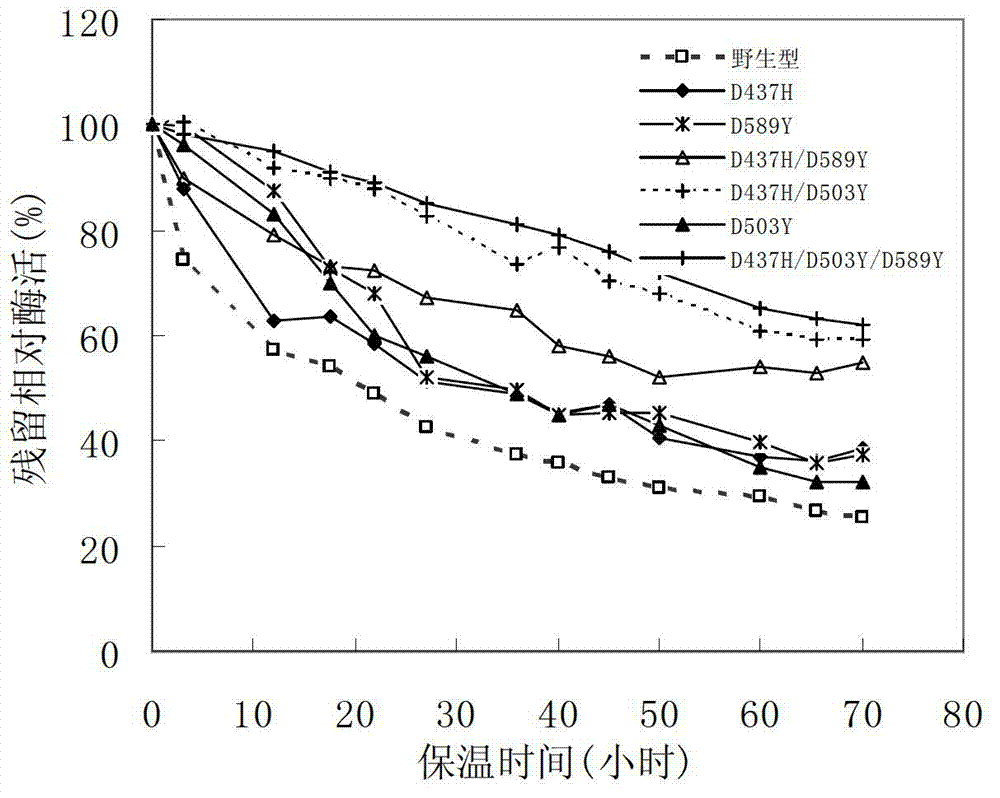 Pullulan enzymatic mutant and preparation method thereof