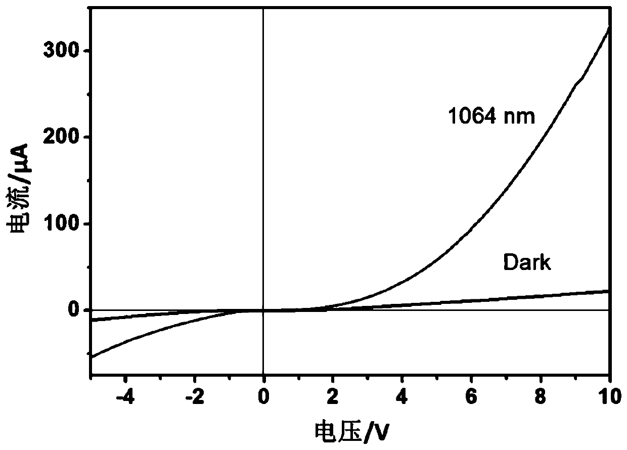 A high-performance optoelectronic device based on carbon nanotube/graphene Schottky junction