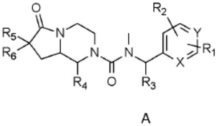 Novel neurokinin 1 receptor antagonist compounds ii